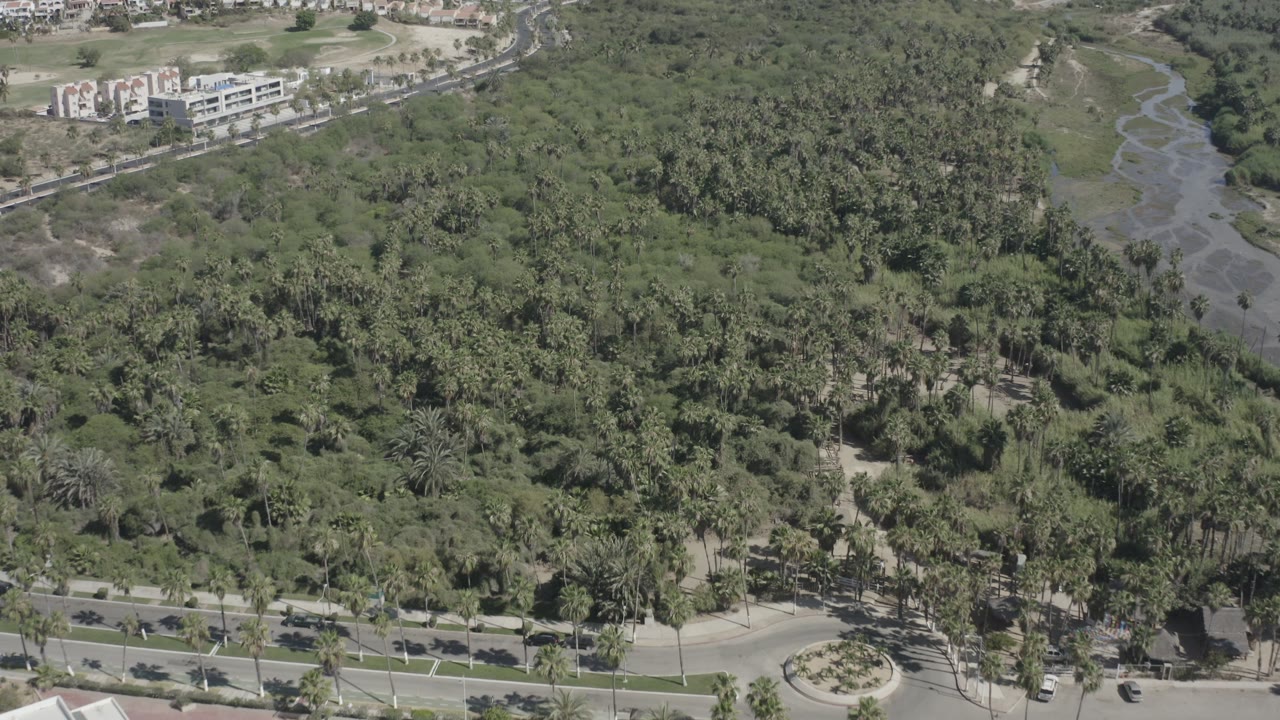 Drone-height view of palms, green brush, roads, buildings, and a narrow channel.