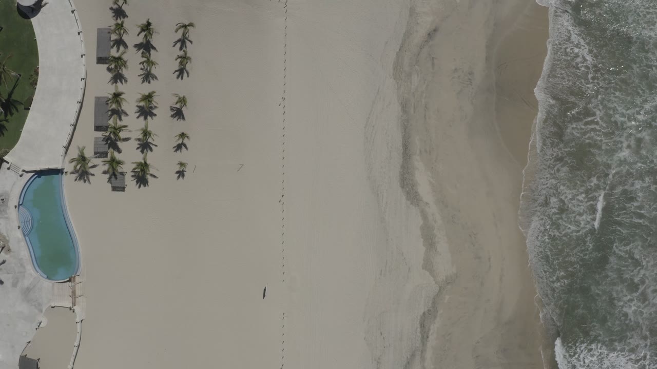 Overhead view of San Jose Del Cabo beach with pale sand, foamy surf at right, palm rows and a blue pool at left, with no visible people.