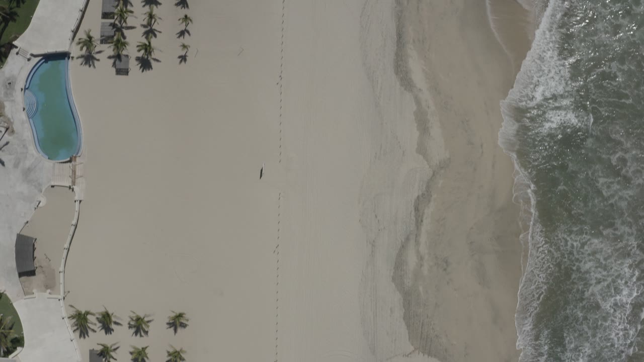 Overhead view of San Jose Del Cabo beach with foamy surf beside pale sand, palm trees, a curved path, a blue pool, and no visible people.
