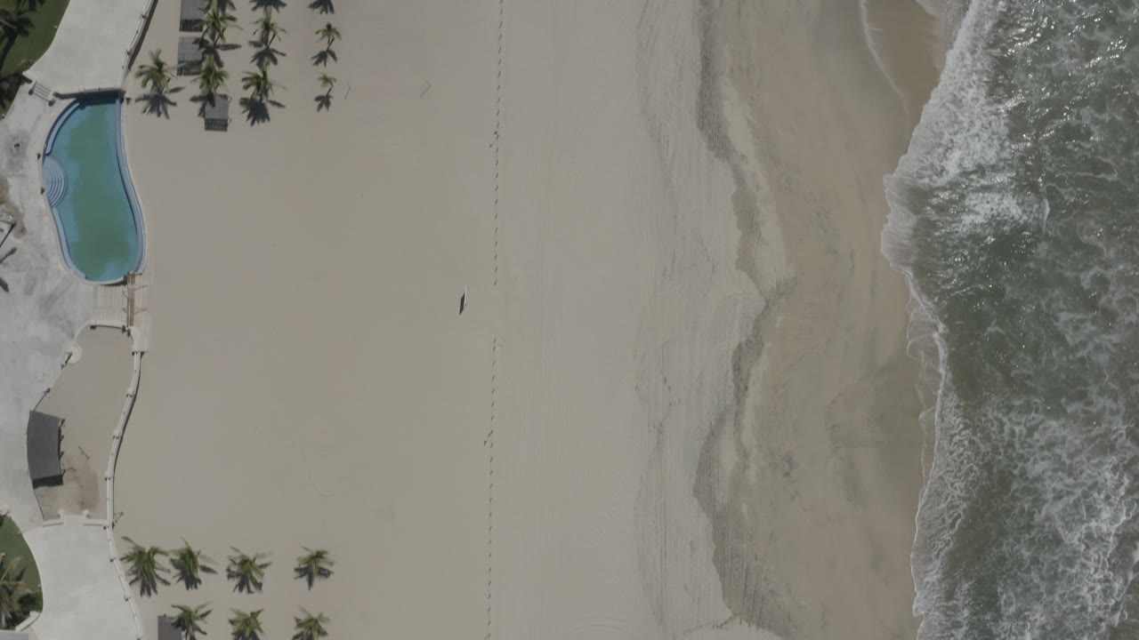 Aerial frame of San Jose Del Cabo shoreline with the wave line shifted along the sand, palm rows near the path, a blue pool, and no visible people.