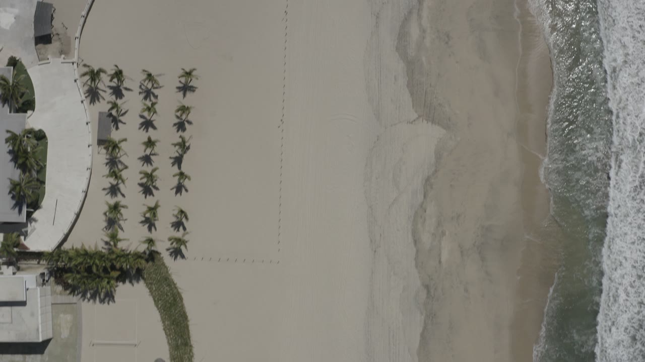 Overhead beach with surf, sand, palms, and curved resort edge.