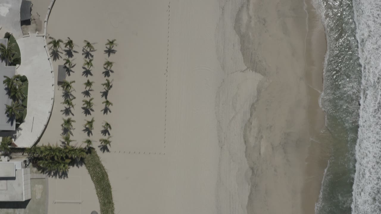Aerial frame over San Jose del Cabo shoreline showing rows of palm trees on the left, wide pale sand in the middle, and breaking surf along the right edge, with no visible people.