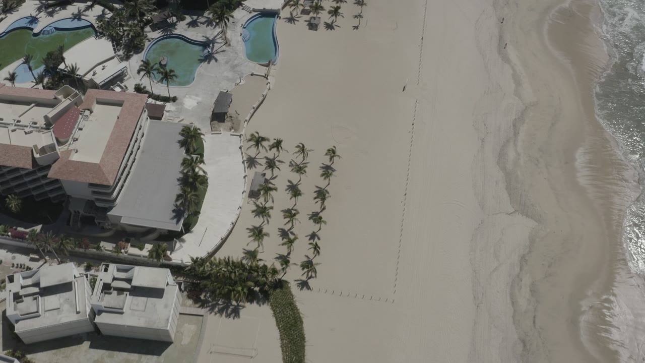 Beachfront resort with pools and palm rows from above