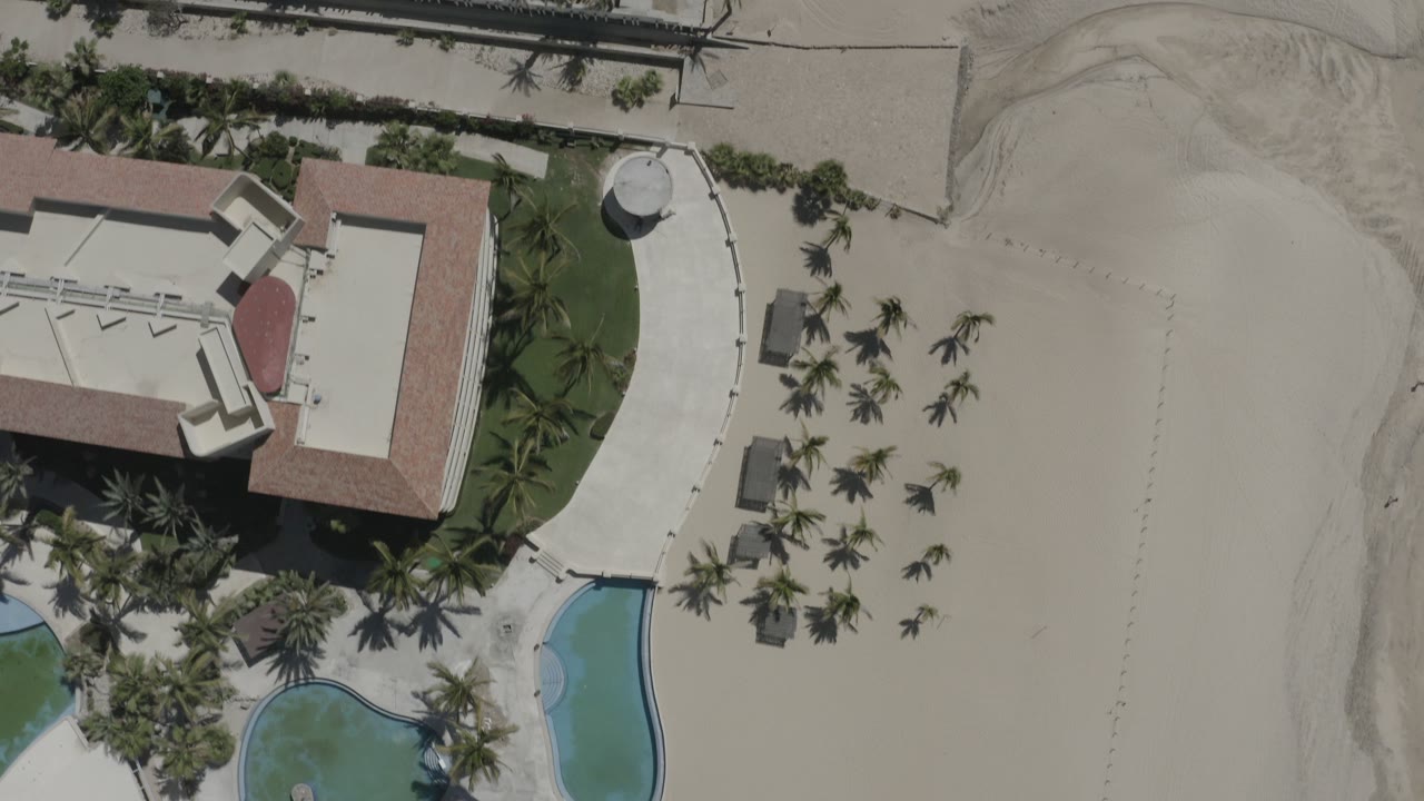 Aerial view in San Jose del Cabo, Mexico, with the resort roof shifted toward the left, palm clusters below, a pool curve near the bottom edge, and no visible people.