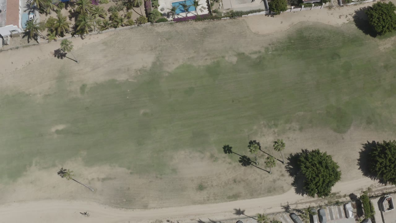 Overhead view of grass, sandy paths, palms, homes, and a blue pool.