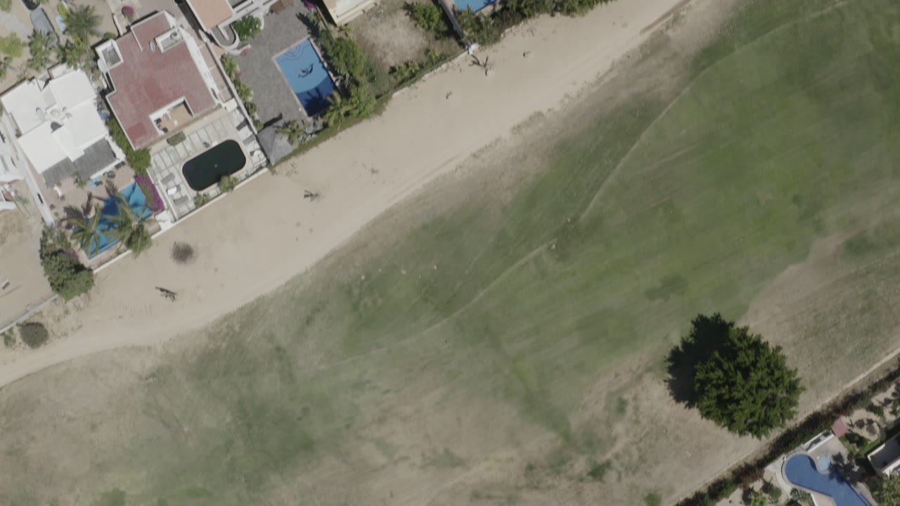 Top-down aerial frame in San Jose del Cabo showing beachfront homes, a pale sandy strip, shallow green water, palms, and no visible people.