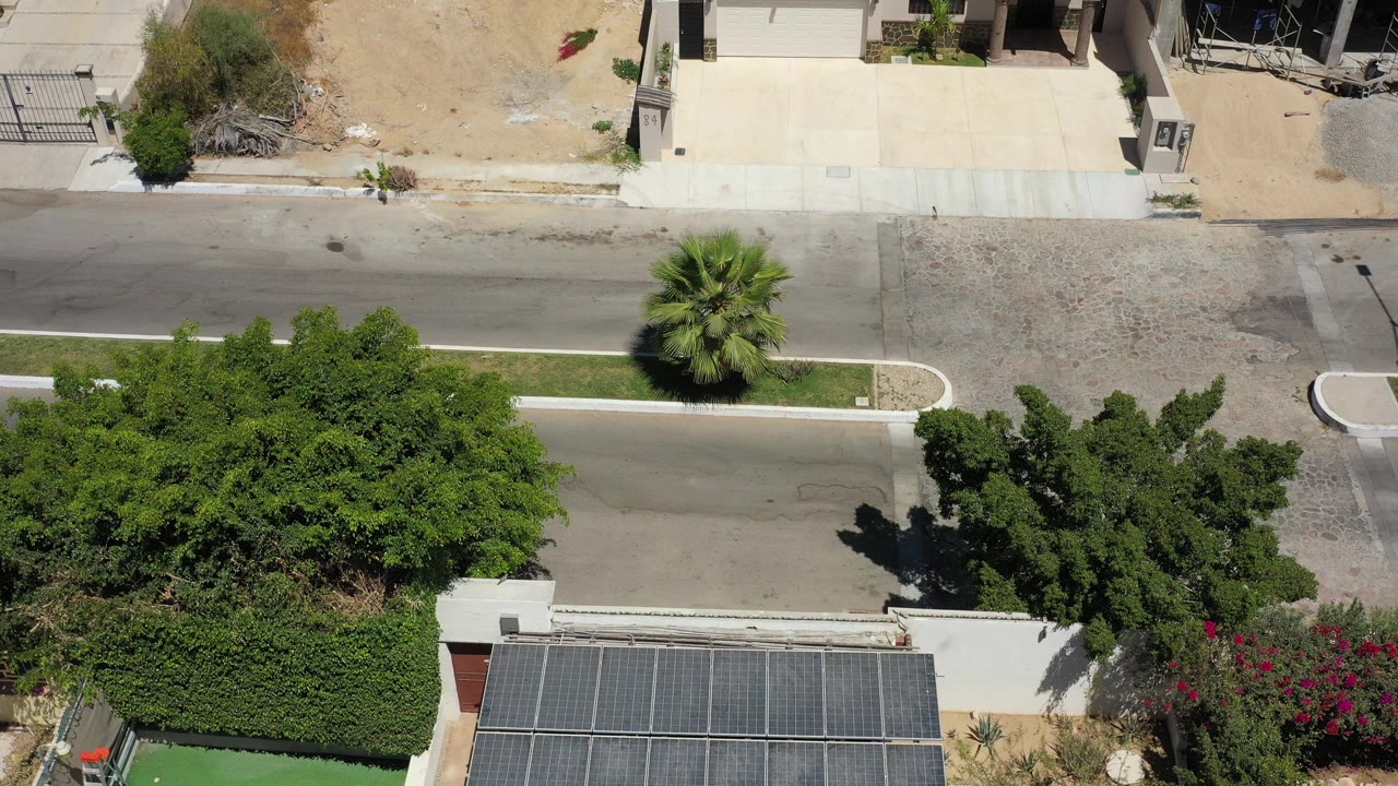 Overhead view of a residential street with trees, a palm, rooftops, and driveways.