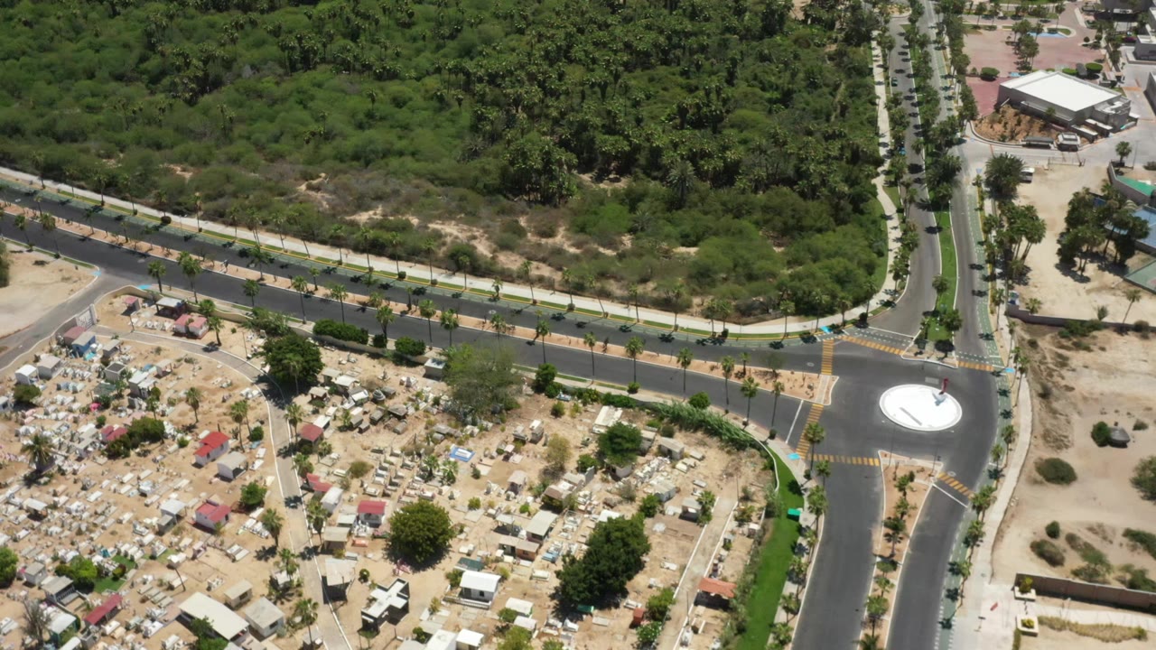 Drone frame over San Jose Del Cabo with a palm-lined road crossing the image, dense forest above it, sandy residential lots below it, and no visible people.