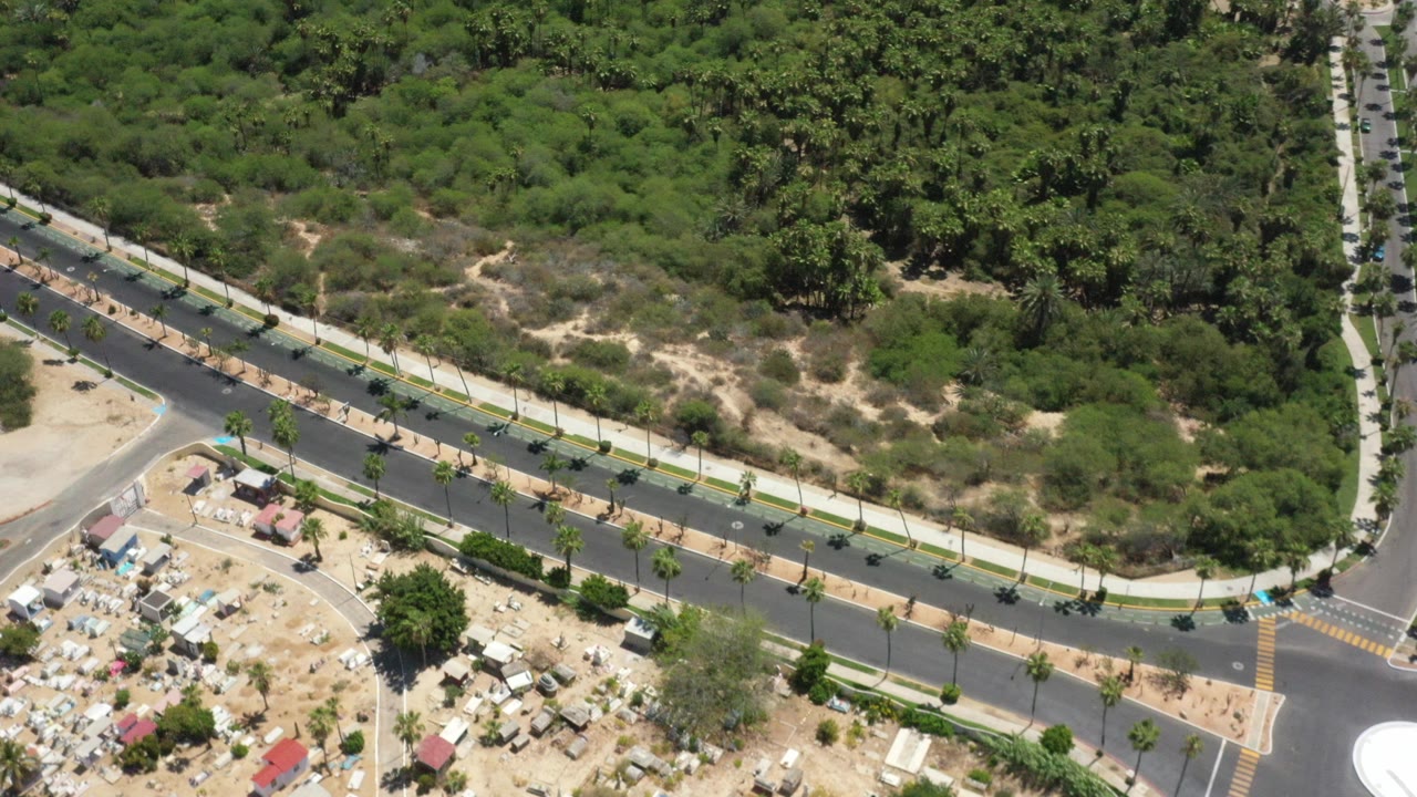 Aerial view of a paved road beside dense green trees and sandy residential lots.