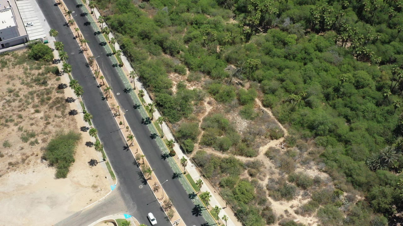 Overhead view in San Jose Del Cabo, Mexico, showing a paved road, sidewalk, small palms, dry open ground, and dense green trees, with no visible people.