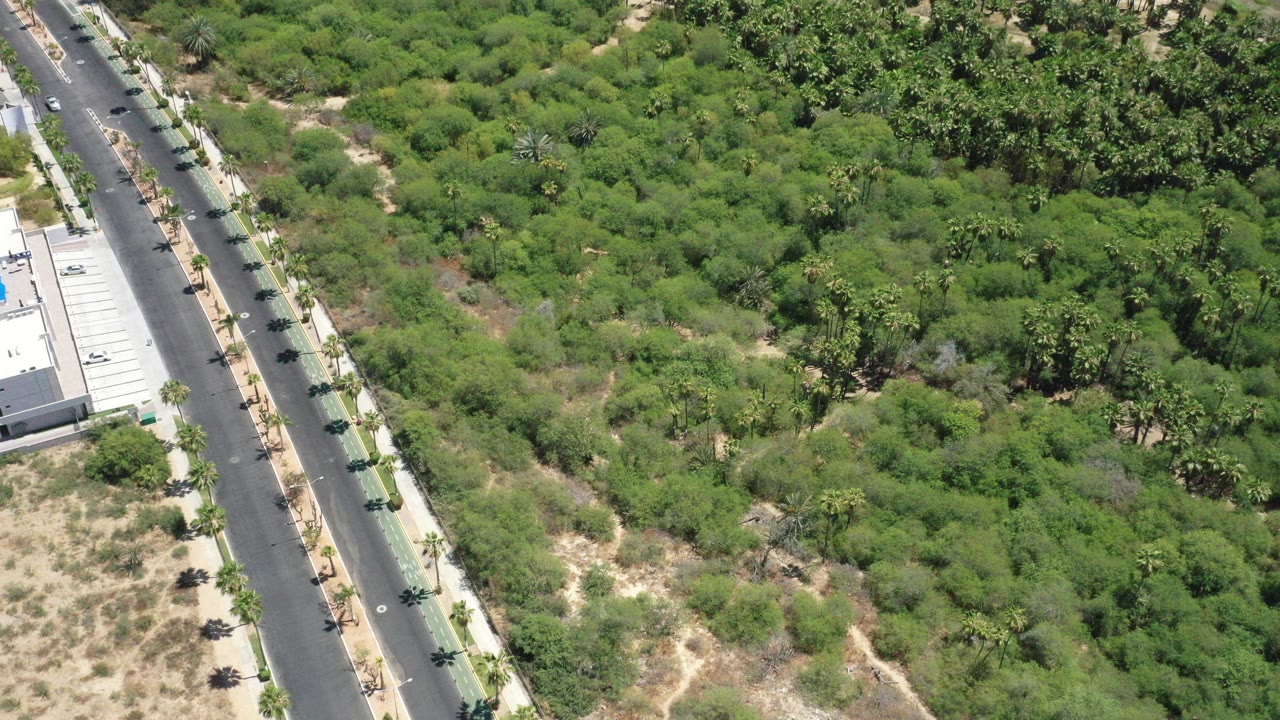 Aerial view of a paved road beside green scrub and a white house