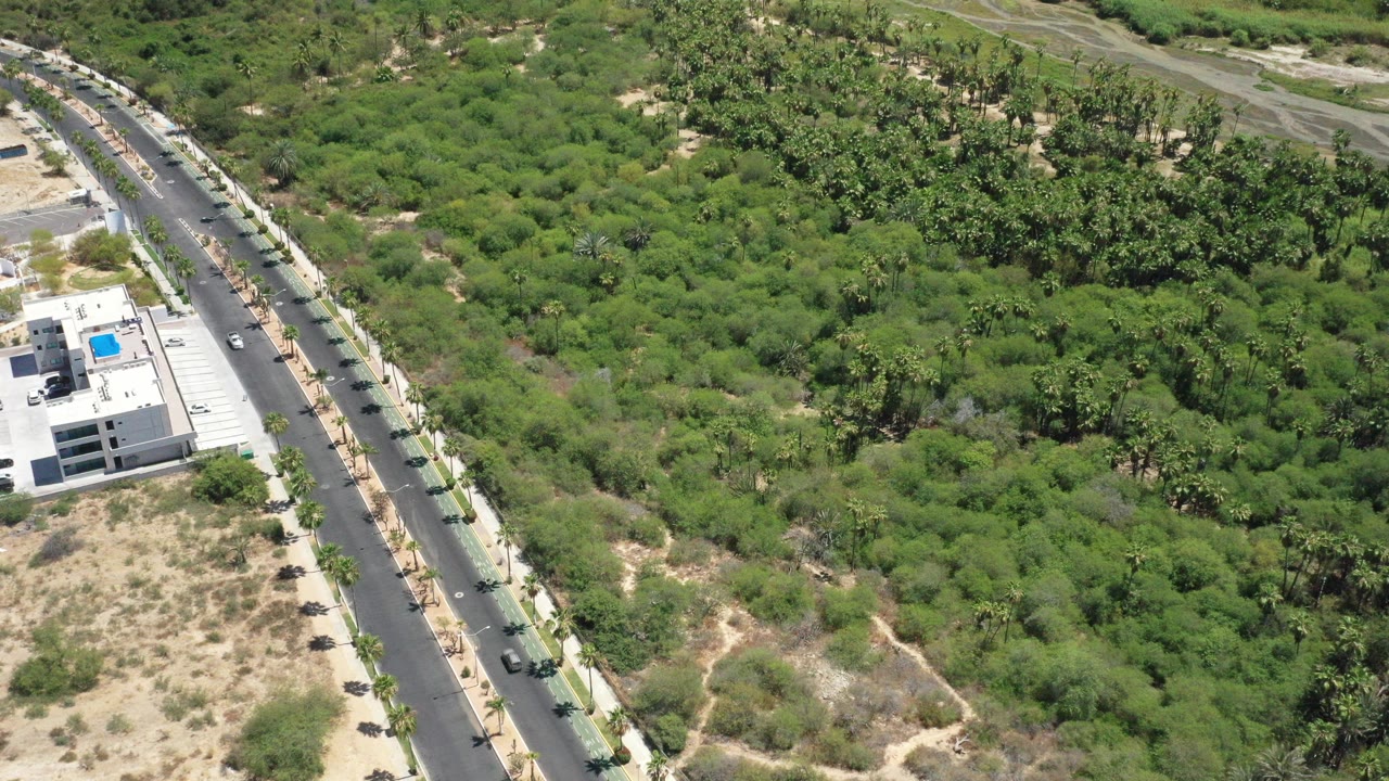 Aerial view of a paved road beside dense green vegetation and a white building.