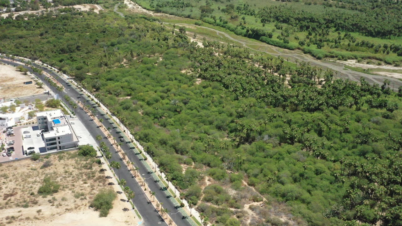 Aerial view of green vegetation, a paved road, and a white building complex.
