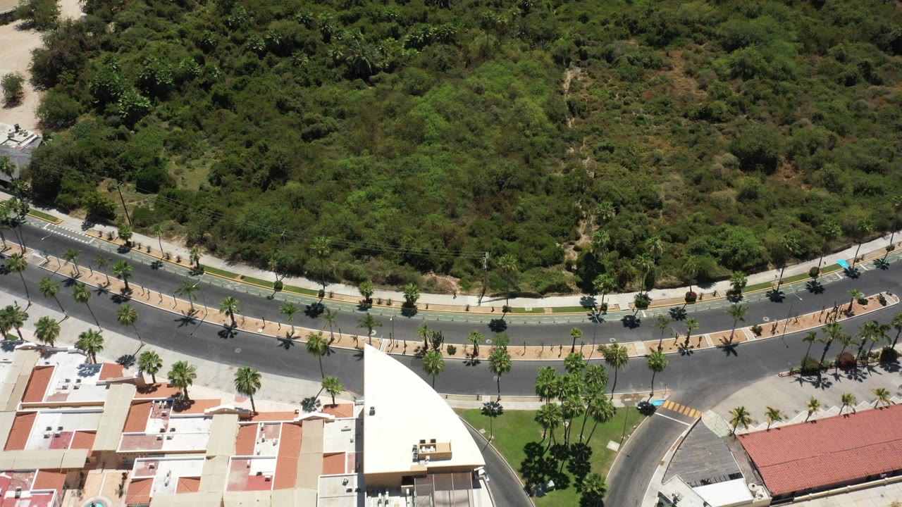 Overhead view of a curved road, palms, rooftops, and dense green brush.