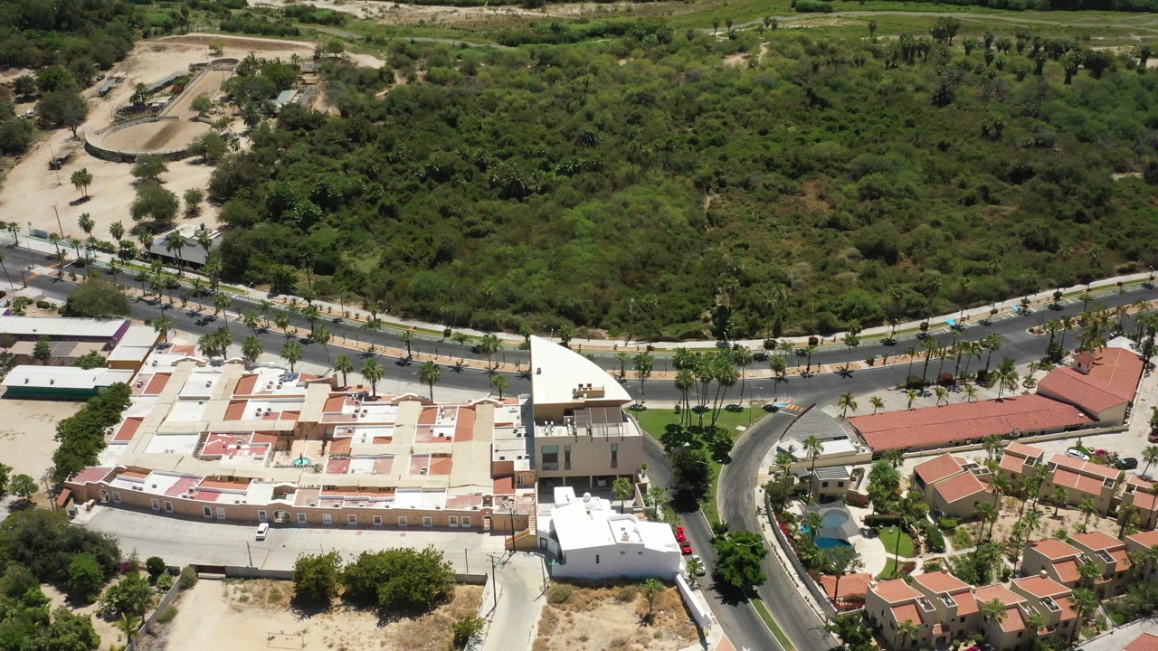 Aerial view of homes, roads, palms, and green vegetation.