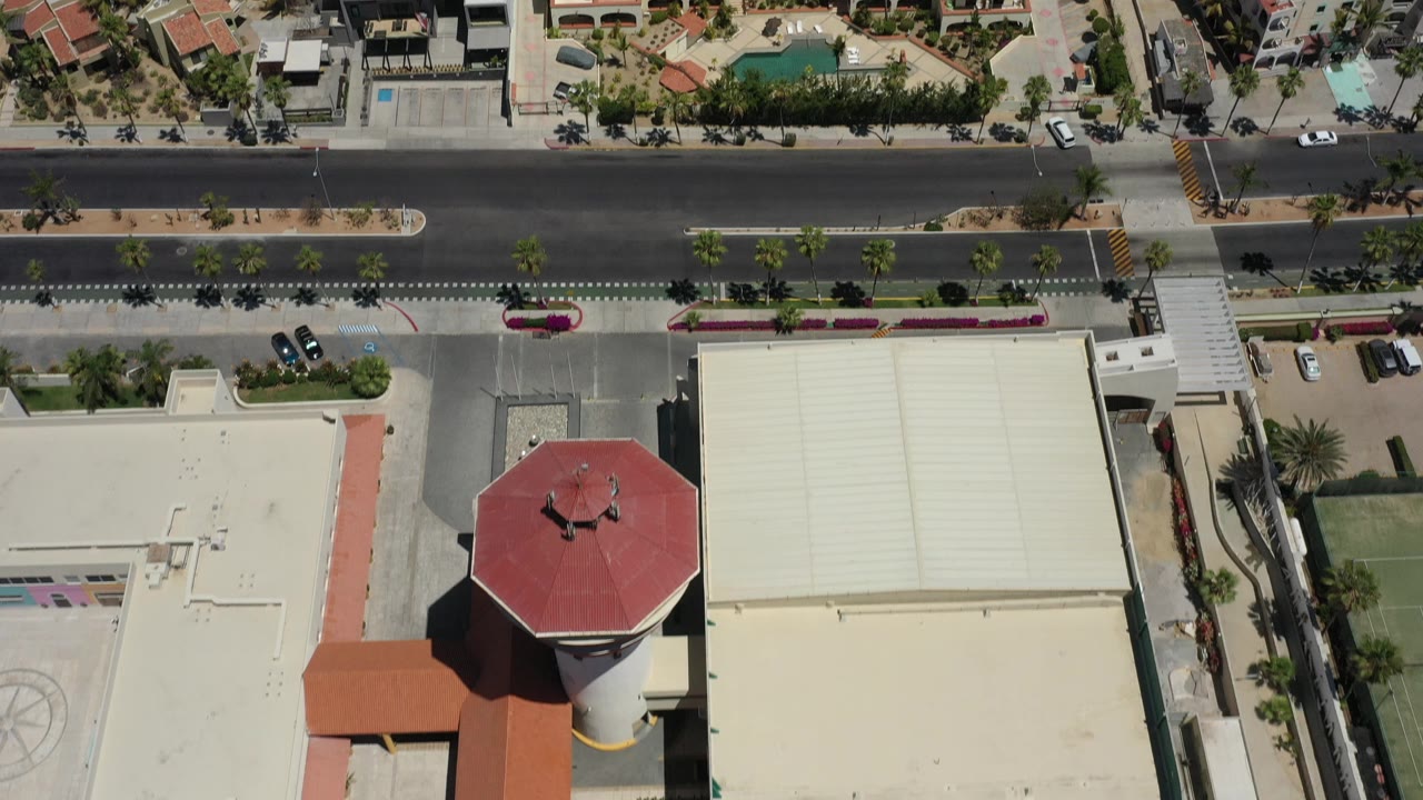 Top-down road scene with rooftops, palms, crosswalk, and parked cars.