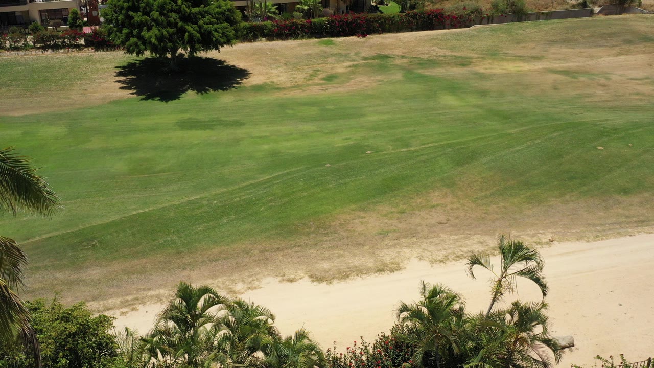 Elevated view of green grass, sand, palms, and a large tree shadow.
