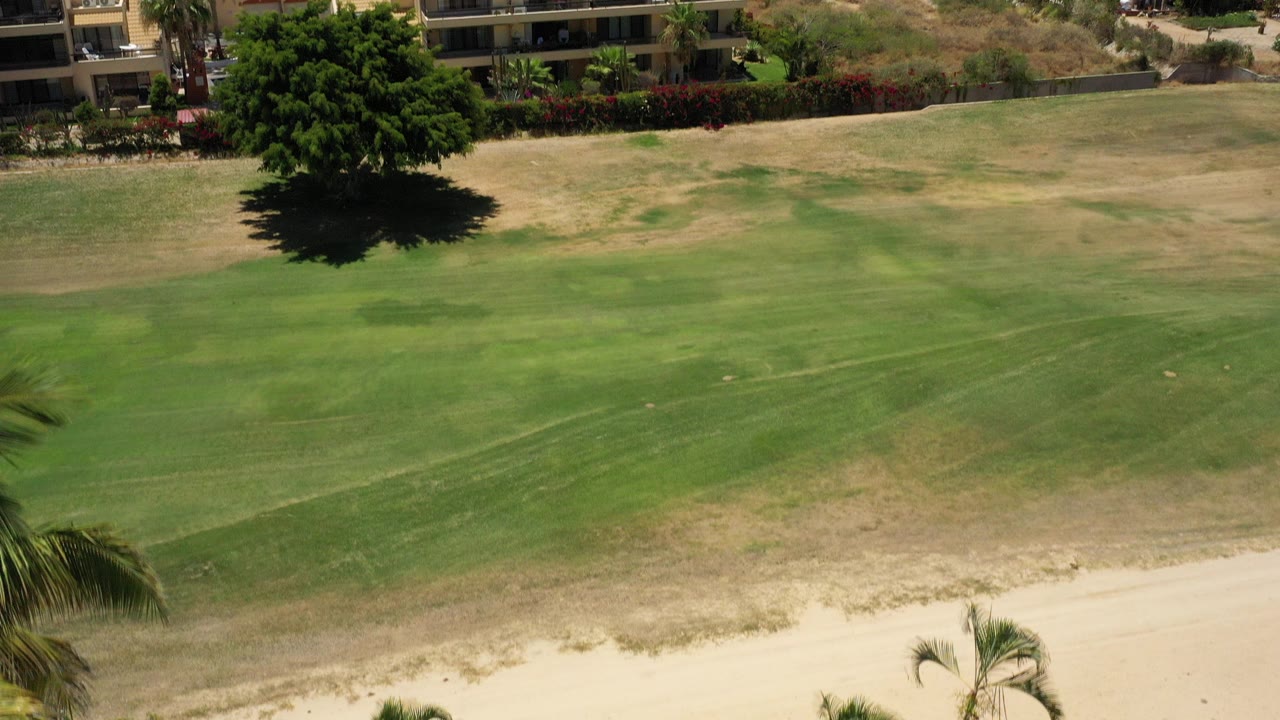 Opening aerial frame over a green and tan field in San Jose del Cabo, Mexico, with a large shade tree near apartment buildings and no visible people.