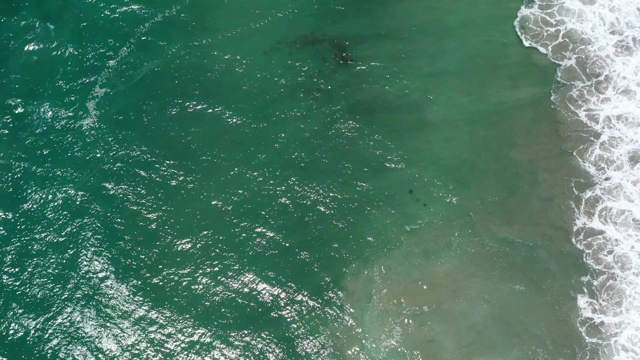 Sunlit green-blue water near San Jose del Cabo, Mexico, with broken white foam at the right edge and dark fish shapes faintly visible under the surface, no visible people.