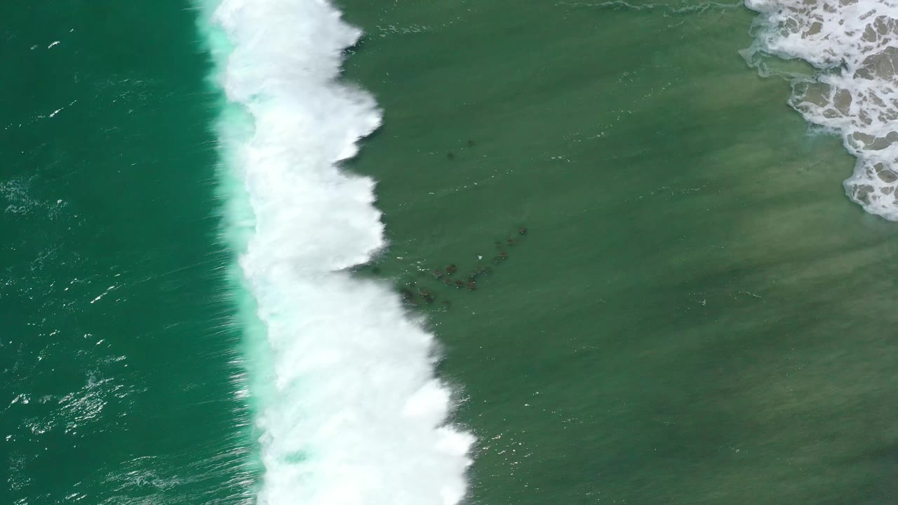 Aerial frame of a foamy wave edge moving across green water and muted sandy shallows in San Jose del Cabo, Mexico, with no visible people.