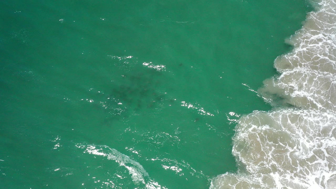 Overhead view of green sea water off San Jose Del Cabo with white surf entering from the right side and no visible people.