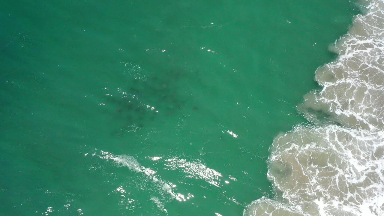 Clear green sea with surf foam and faint dark fish shapes below the surface.