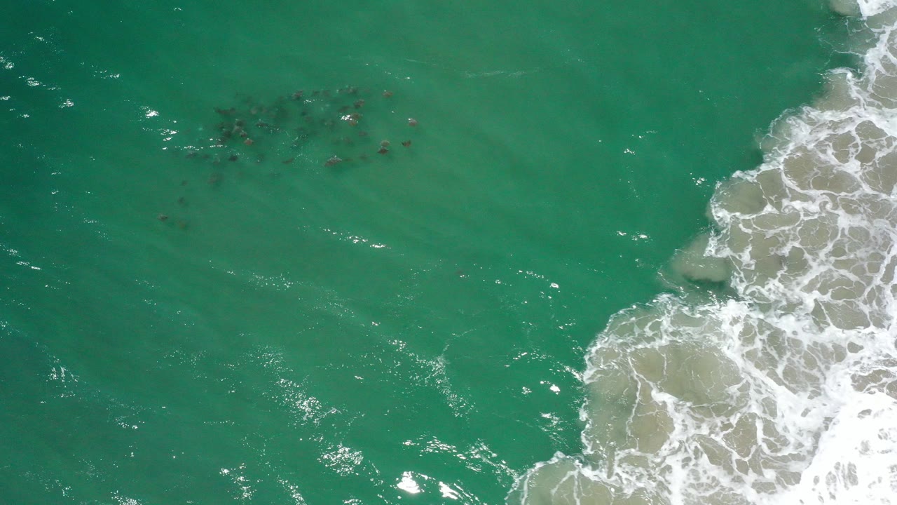 Overhead view of turquoise water in San Jose del Cabo, Mexico, with a loose group of small dark fish near the upper center and white surf breaking along the right edge, no visible people.