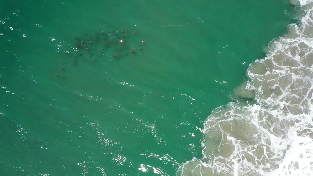 Aerial frame from San Jose del Cabo showing green-blue open water, a small dark cluster of fish or sea life near the upper middle, and foamy surf pushing in from the right, no visible people.