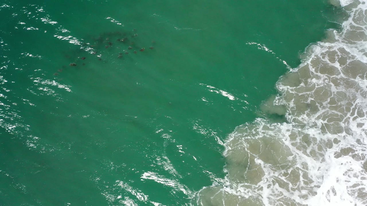 Open green ocean surface with bright reflections and foamy wave wash entering from the right.