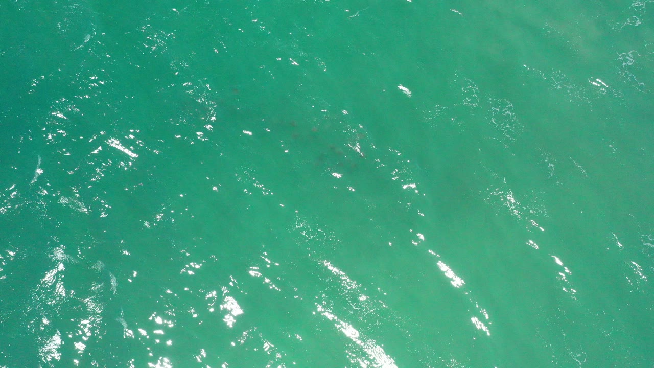 Turquoise ocean surface with sun reflections and small dark specks.
