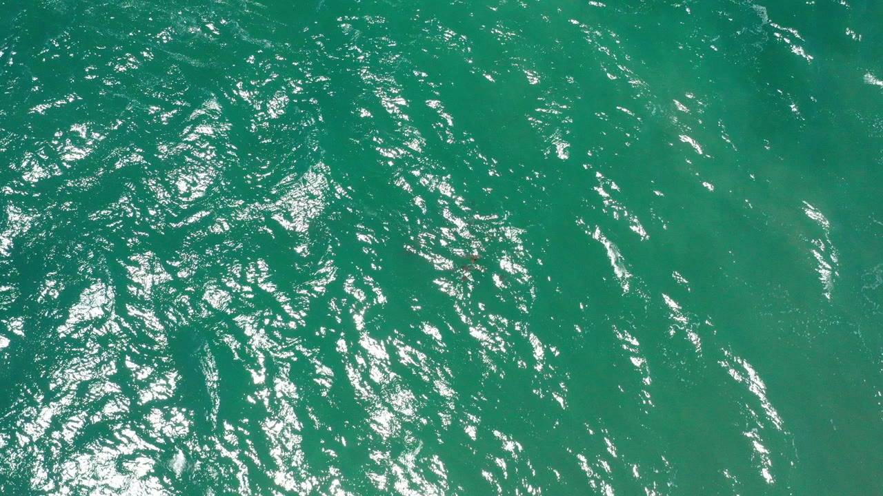 Top-down view of green ocean water in San Jose Del Cabo, Mexico, with dense white daylight reflections across the upper ripples and no visible people.