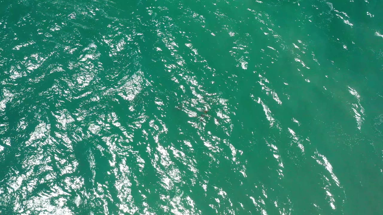 Overhead turquoise-green water in San Jose Del Cabo, Mexico, with a cluster of ripples and bright highlights concentrated near the center, no visible people.