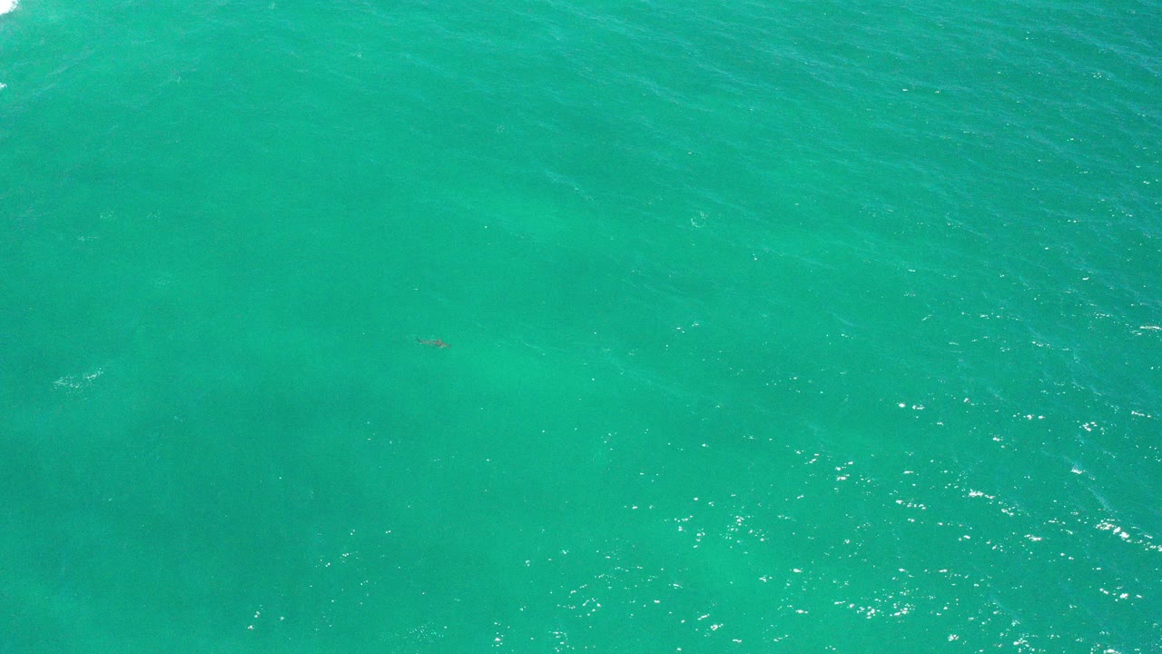 Turquoise sea surface with ripples and a tiny dark shape near the water.