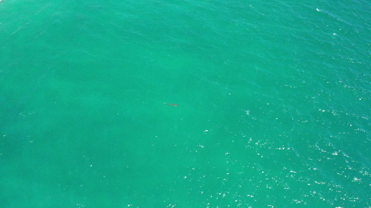 Top-down view of turquoise ocean water in San Jose Del Cabo, Mexico, with scattered bright ripples and no visible people.