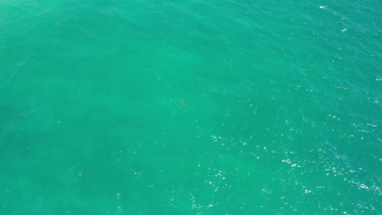 Turquoise sea surface with subtle current lines.