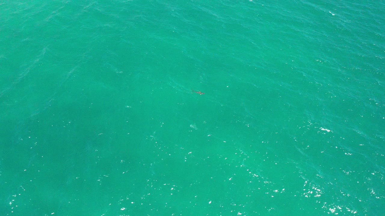Top-down view of turquoise seawater in San Jose Del Cabo, Mexico, with faint underwater shading, bright ripple highlights, and no visible people.