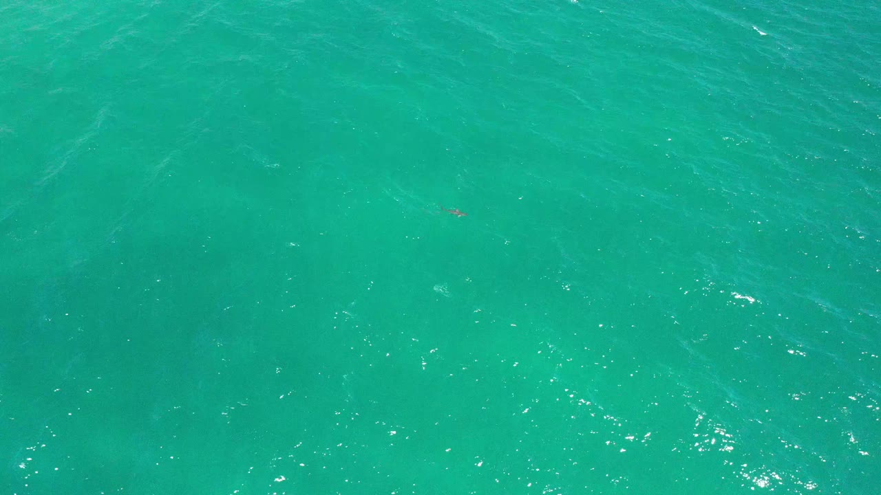 Green-blue water fills the San Jose Del Cabo frame, with scattered white glints and soft darker shapes below the surface, and no visible people.