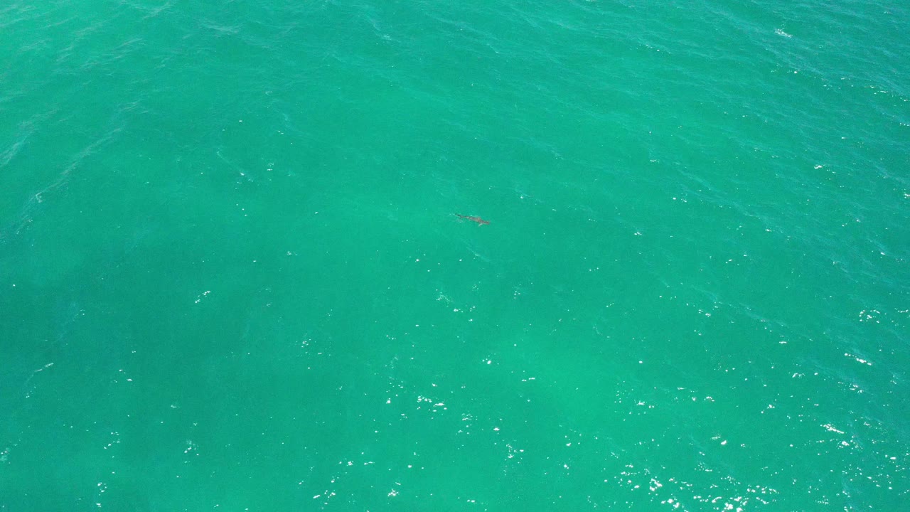 Aerial view of turquoise water with faint dark shape below.