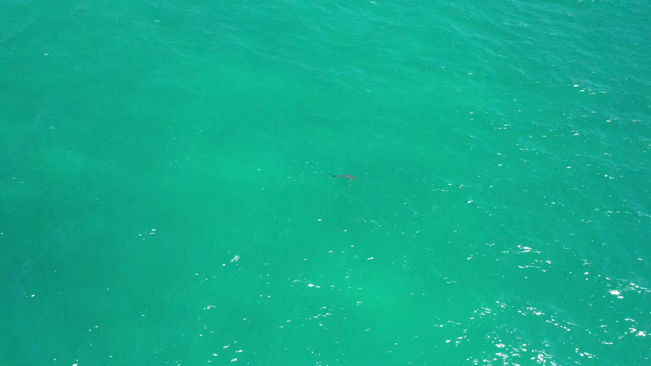 Overhead San Jose del Cabo water frame with a tiny swimmer closer to center, scattered white highlights, and darker patches below the surface.