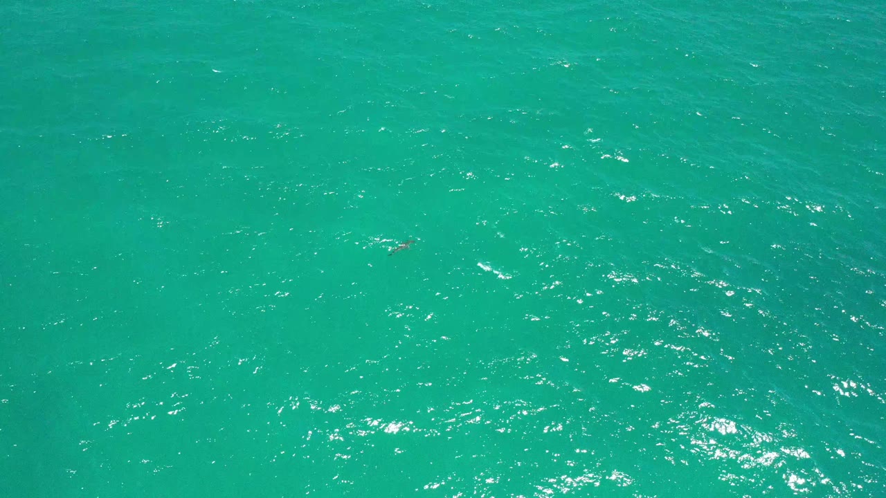 Turquoise sea water in San Jose Del Cabo shows a denser band of sparkling highlights across the middle of the frame, with no visible people.