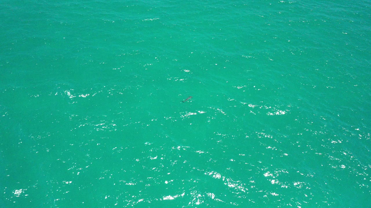 Turquoise ocean water with small ripples and sun reflections.