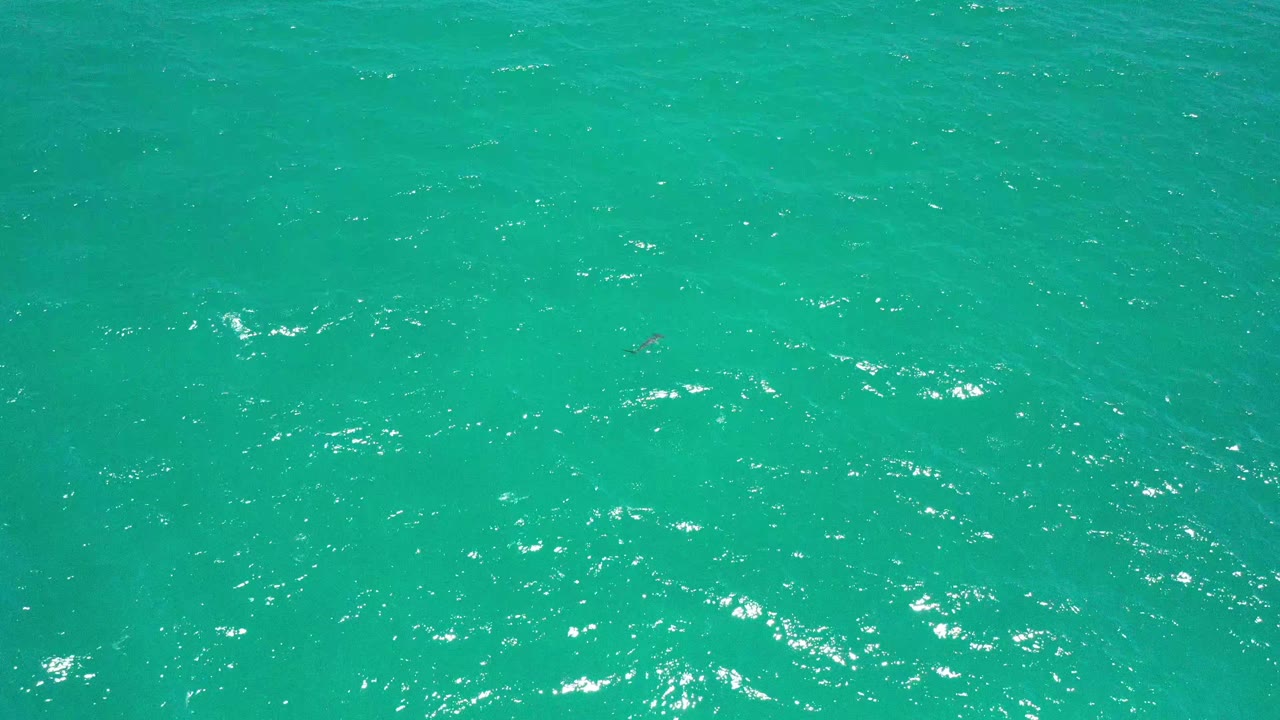 Emerald-green sea surface in San Jose del Cabo with wind-made texture, bright glints near the lower part of frame, and no visible people.