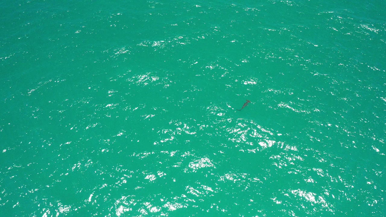 Overhead view of teal ocean water in San Jose Del Cabo, Mexico, with small ripples and scattered sun highlights, no visible people.