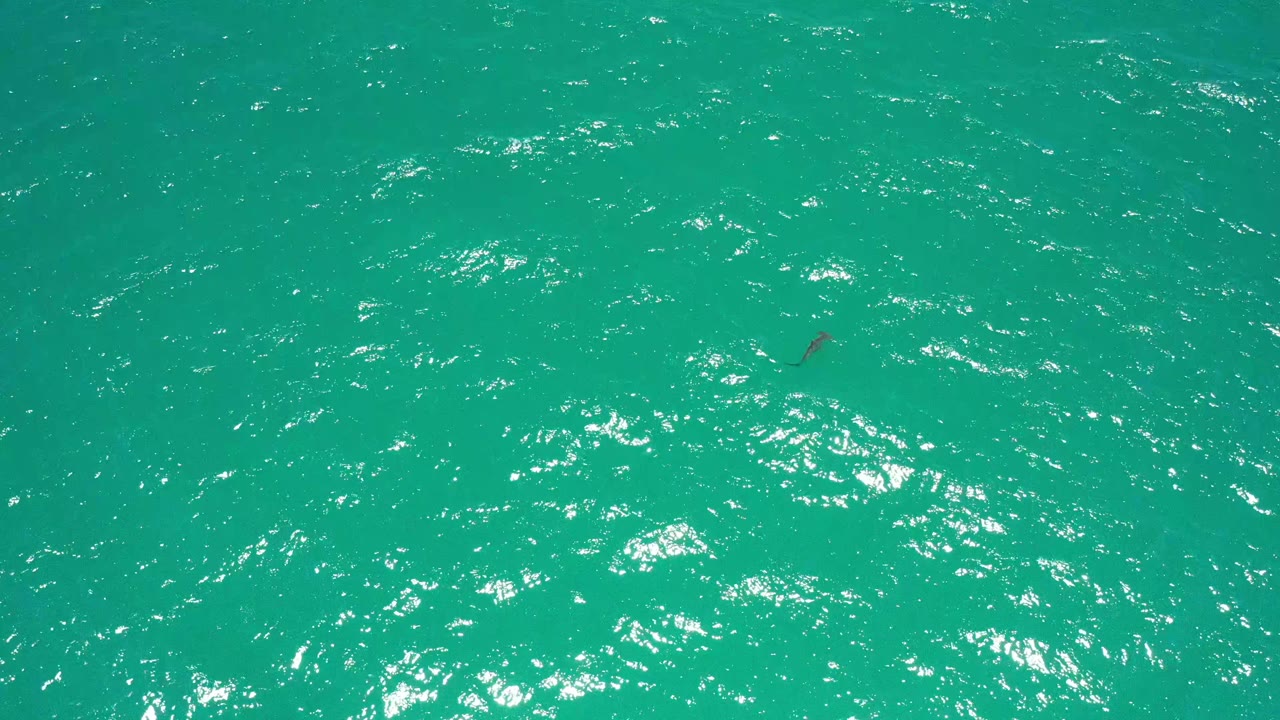 Teal sea surface fills the frame in San Jose Del Cabo, Mexico, with ripples shifting across the center and no visible people.