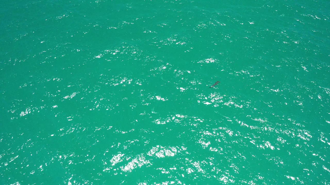 Open teal water with clustered light reflections.