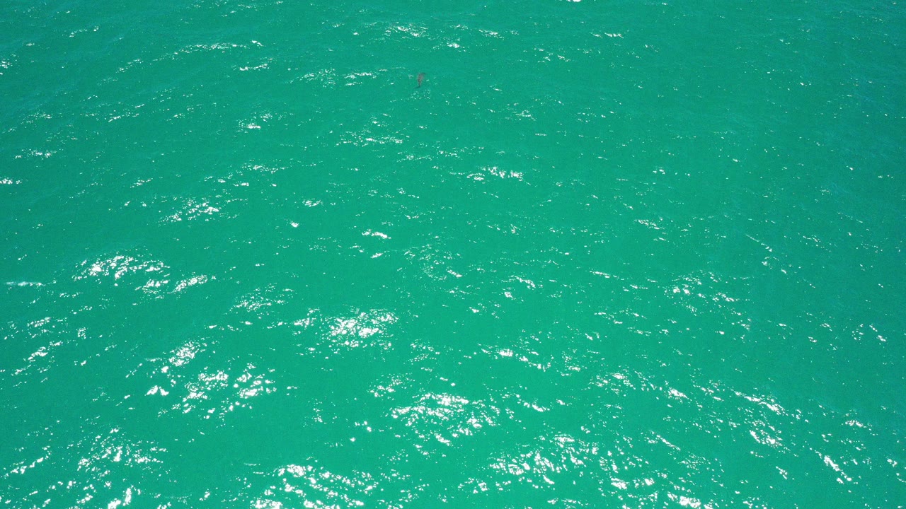 Green ocean water fills the first frame in San Jose del Cabo, Mexico, with scattered bright reflections and no visible people.