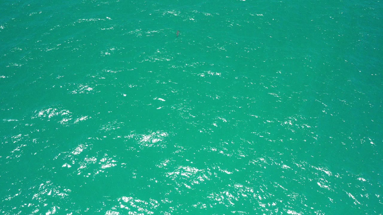 Turquoise green sea surface in San Jose del Cabo shows wind-ruffled texture and clustered white highlights, with no visible people.