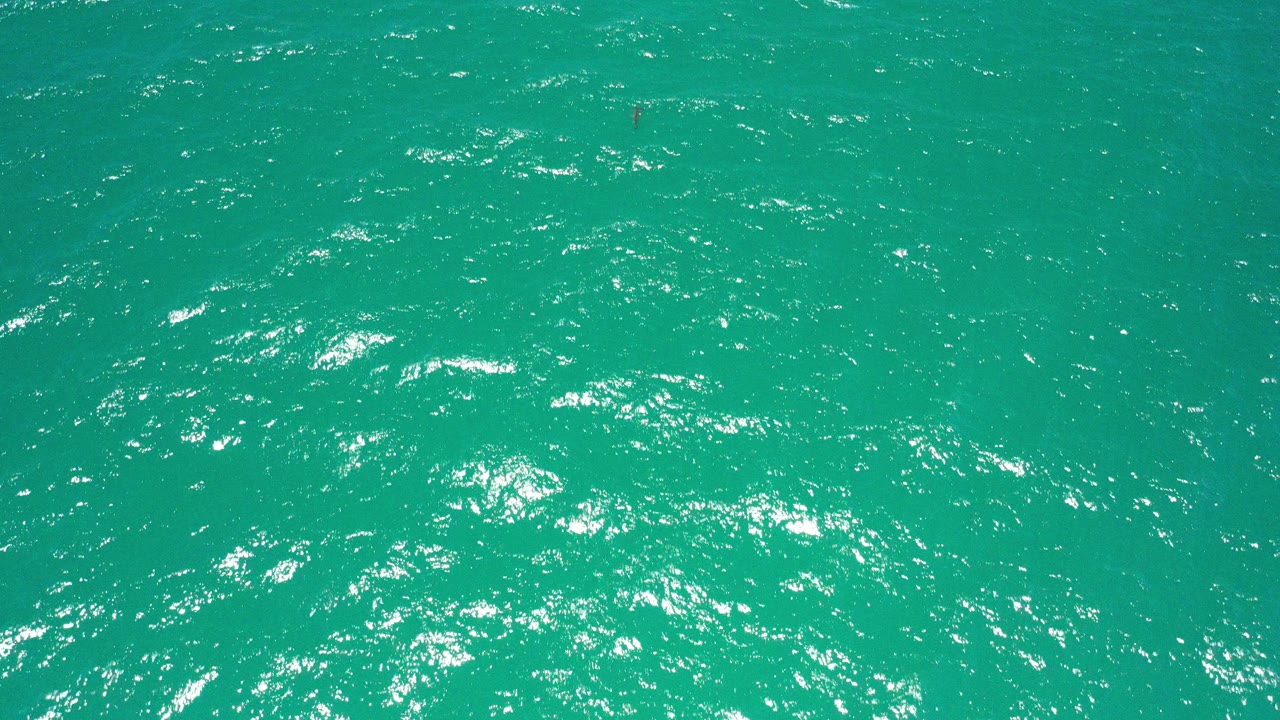 Green-turquoise ocean water in San Jose del Cabo fills the opening frame, with fine ripples, bright reflections, and no visible people.