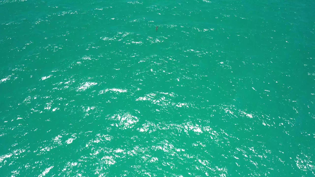 The second frame shows the San Jose del Cabo water surface slightly shifted, with scattered white highlights across the turquoise ripples and no visible people.