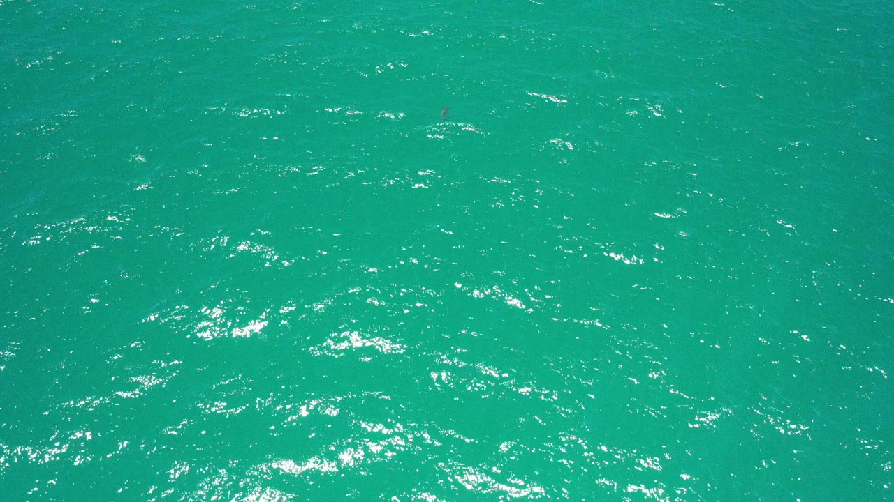 Overhead view of turquoise sea water in San Jose Del Cabo, Mexico, with scattered white highlights and no visible people in this opening frame.